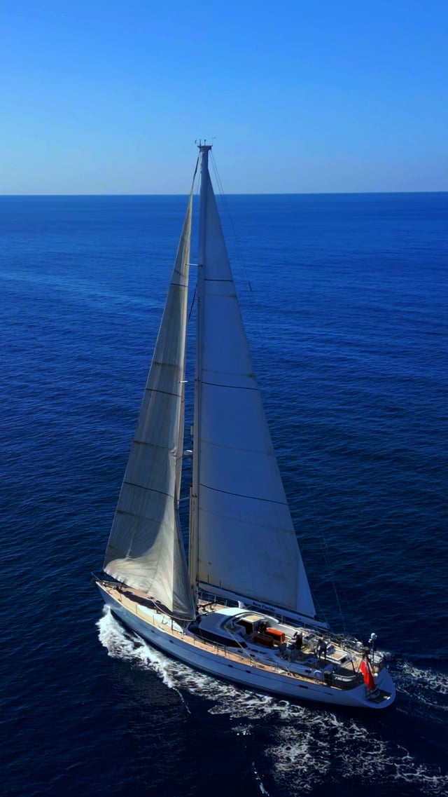 Stag Vietnam Home Background