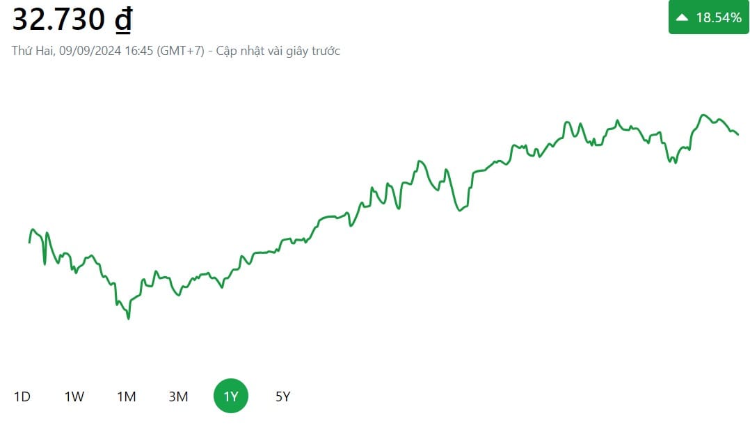 Quỹ ETF DCVFMVN DIAMOND