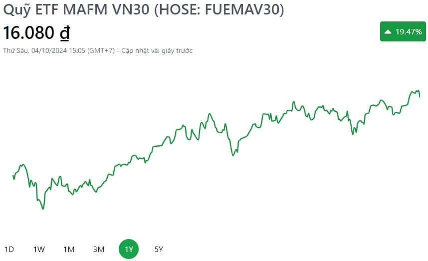 Hiệu suất đầu tư chi tiết của FUEMAV30