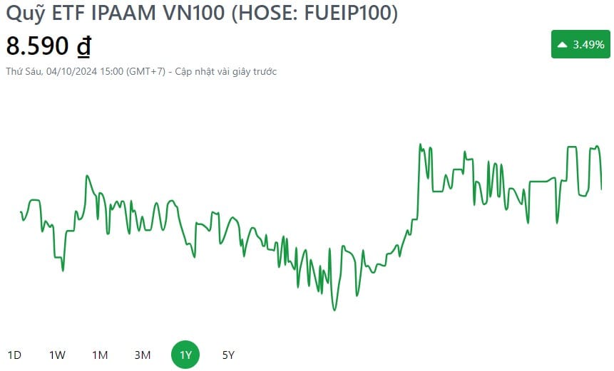 Hiệu suất đầu tư chi tiết của FUEIP100