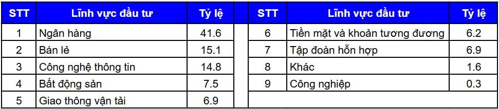 Danh mục đầu tư lớn của quỹ ETF DCVFMVN DIAMOND (31/10/2024)