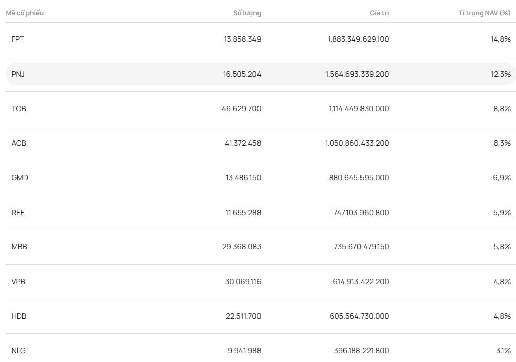 Top 10 cổ phiếu lớn nhất mà quỹ ETF này đang nắm giữ (31/10/2024)