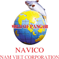 ANV