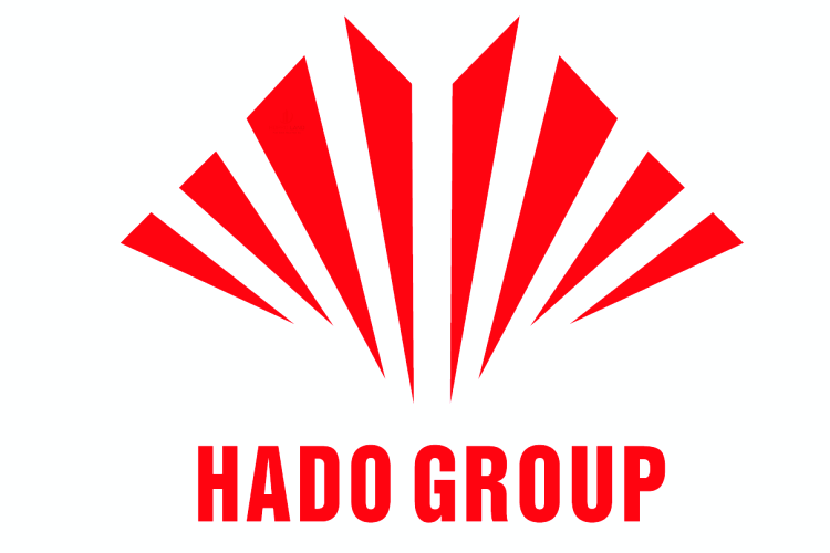HDG
